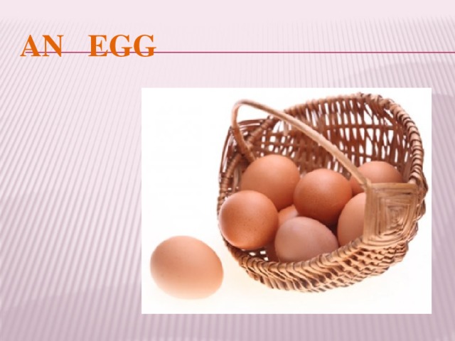 AN EGG 