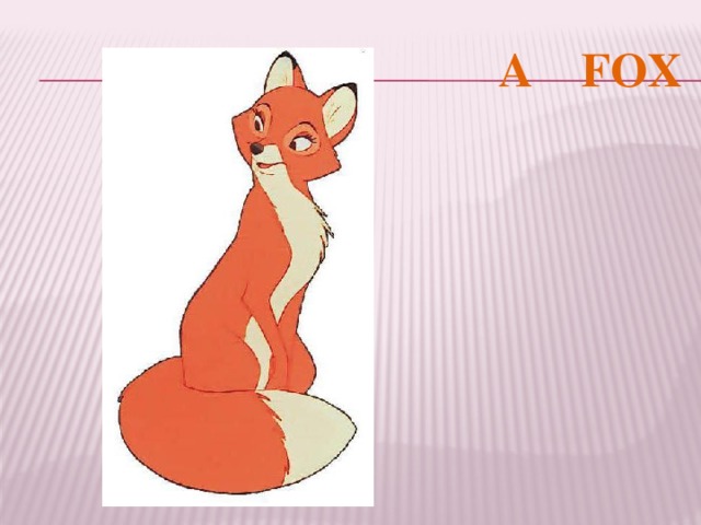 A FOX 