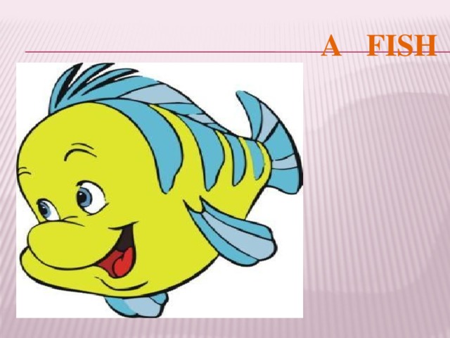A FISH 