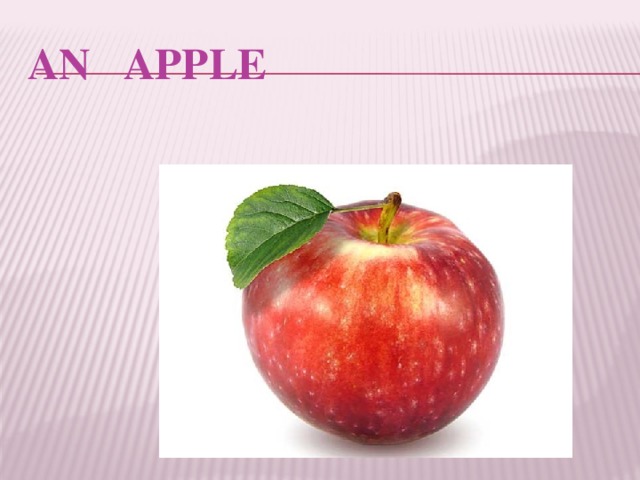 AN APPLE 
