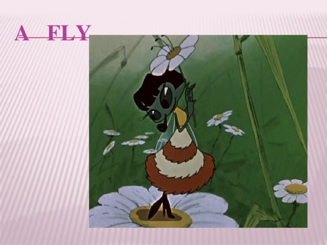 A FLY 