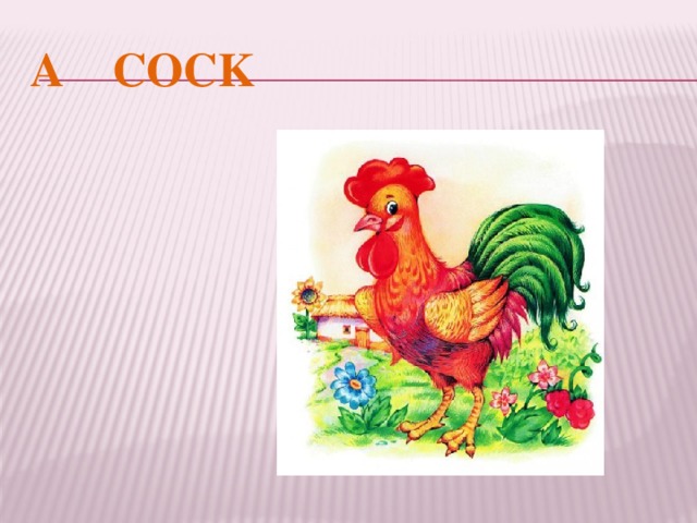A COCK 