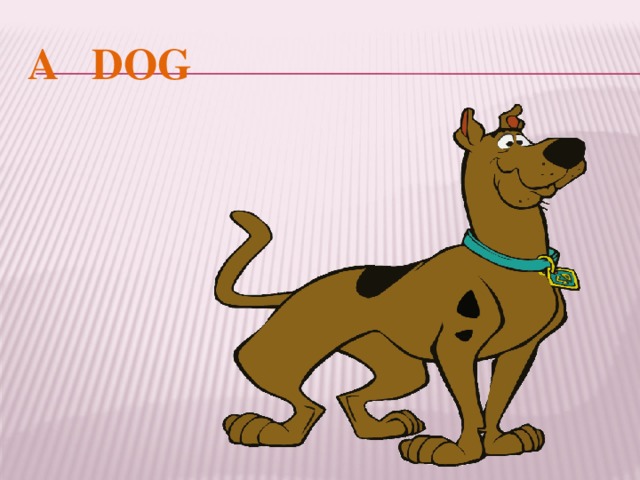 A DOG 