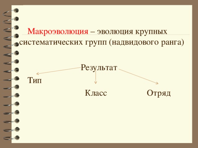 Презентация макроэволюция 9 класс пасечник