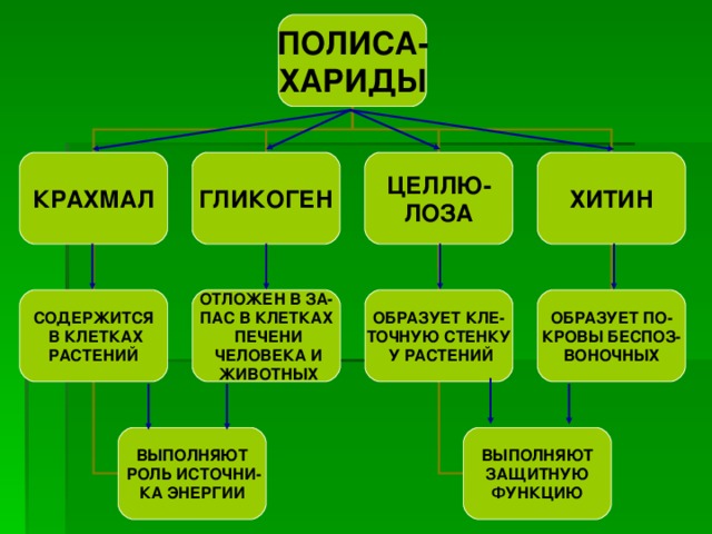 ПОЛИСА- ХАРИДЫ ЦЕЛЛЮ- ЛОЗА ХИТИН ГЛИКОГЕН КРАХМАЛ ОБРАЗУЕТ КЛЕ- ТОЧНУЮ СТЕНКУ  У РАСТЕНИЙ ОТЛОЖЕН В ЗА- ПАС В КЛЕТКАХ  ПЕЧЕНИ  ЧЕЛОВЕКА И  ЖИВОТНЫХ СОДЕРЖИТСЯ  В КЛЕТКАХ РАСТЕНИЙ ОБРАЗУЕТ ПО- КРОВЫ БЕСПОЗ- ВОНОЧНЫХ ВЫПОЛНЯЮТ  ЗАЩИТНУЮ ФУНКЦИЮ ВЫПОЛНЯЮТ  РОЛЬ ИСТОЧНИ- КА ЭНЕРГИИ 