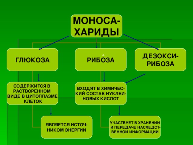 МОНОСА- ХАРИДЫ ДЕЗОКСИ- РИБОЗА РИБОЗА ГЛЮКОЗА ВХОДЯТ В ХИМИЧЕС- КИЙ СОСТАВ НУКЛЕИ- НОВЫХ КИСЛОТ СОДЕРЖИТСЯ В РАСТВОРЕННОМ ВИДЕ В ЦИТОПЛАЗМЕ  КЛЕТОК УЧАСТВУЕТ В ХРАНЕНИИ  И ПЕРЕДАЧЕ НАСЛЕДСТ- ВЕННОЙ ИНФОРМАЦИИ ЯВЛЯЕТСЯ ИСТОЧ- НИКОМ ЭНЕРГИИ 