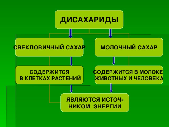 ДИСАХАРИДЫ СВЕКЛОВИЧНЫЙ  САХАР МОЛОЧНЫЙ САХАР СОДЕРЖИТСЯ  В КЛЕТКАХ РАСТЕНИЙ СОДЕРЖИТСЯ В МОЛОКЕ ЖИВОТНЫХ И ЧЕЛОВЕКА ЯВЛЯЮТСЯ ИСТОЧ- НИКОМ ЭНЕРГИИ 