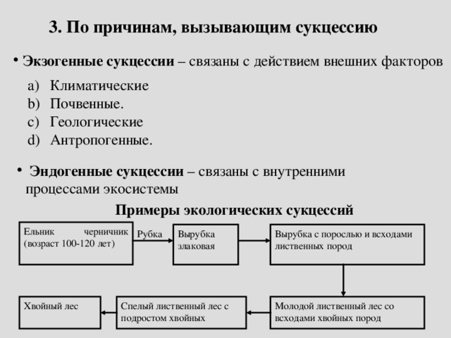 Из приведенного перечня выберите примеры иллюстрирующие сукцессии