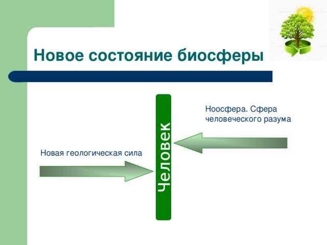 Человек Новое состояние биосферы Ноосфера. Сфера человеческого разума Новая геологическая сила 