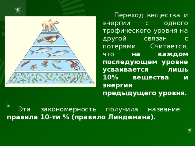 Переход вещества и энергии с одного трофического уровня на другой связан с потерями. Считается, что на каждом последующем уровне усваивается лишь 10% вещества и энергии предыдущего уровня. Эта закономерность получила название правила 10-ти % (правило Линдемана). 