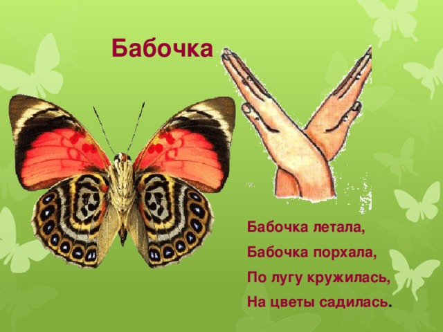 Стихотворение бабочка. Стих про бабочку. Стих про бабочку для детей. Пальчиковая гимнастика бабочка. Стих про бабочку для детей короткие.