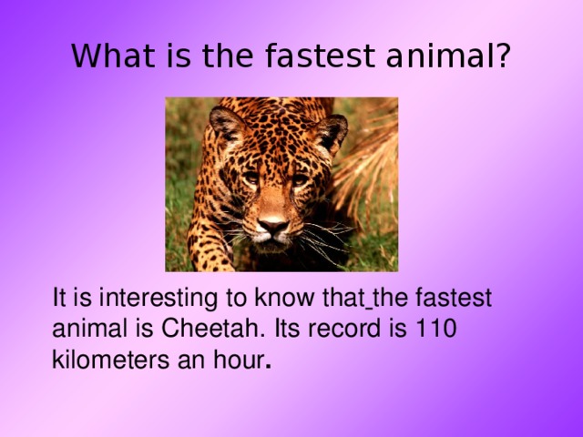 What is the fastest animal?  It is interesting to know that  the fastest animal is Cheetah. Its record is 110 kilometers an hour .  