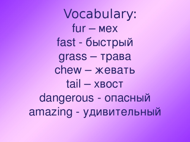  Vocabulary:  fur – мех  fast - быстрый  grass – трава  chew – жевать  tail – хвост  dangerous - опасный  amazing - удивительный    