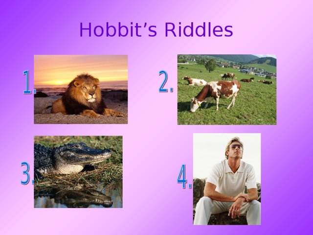 Hobbit’s Riddles 