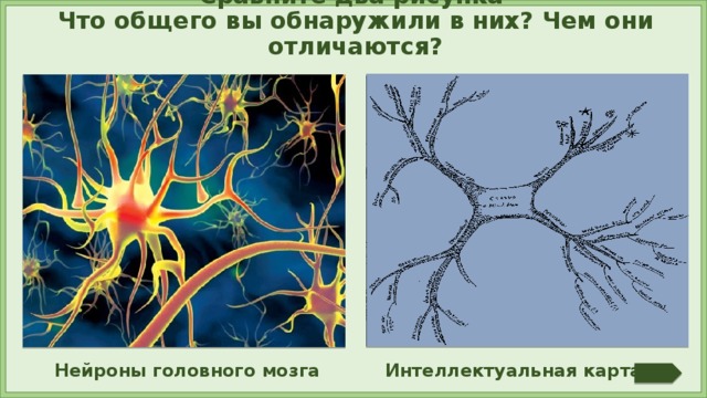 Сравните два рисунка Что общего вы обнаружили в них? Чем они отличаются? Интеллектуальная карта Нейроны головного мозга  