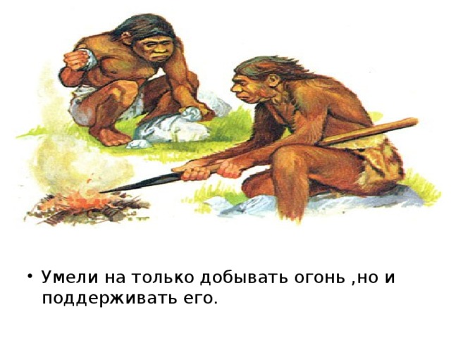 Предок современного человека изображенный на рисунке уже умел добывать огонь строить жилища