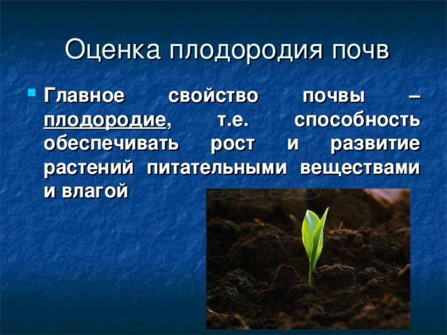 Важнейшим свойством почвы является наличие. Оценка плодородия почв. Плодородие почвы определяется. Основные характеристики плодородной почвы. Что такое плодородие кратко.