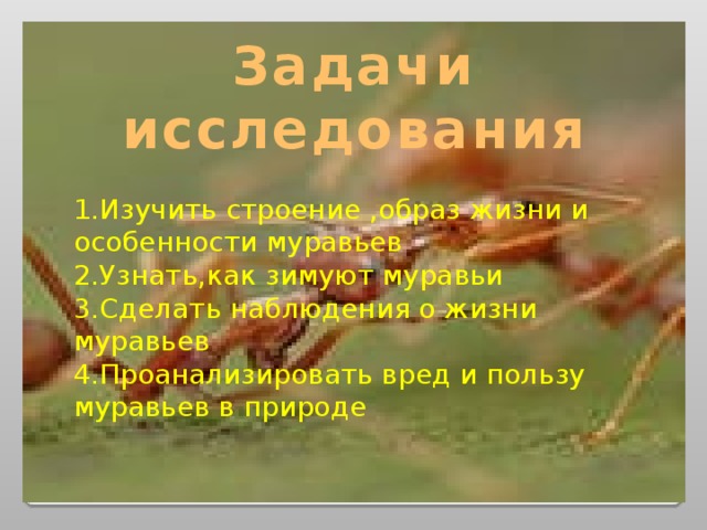 Понаблюдайте как создана история листка его образ. Особенности жизнедеятельности муравьев. Особенности жизнедеятельности муравья. Определите индикаторы влажности в природе муравьи. Что делать муравью х.