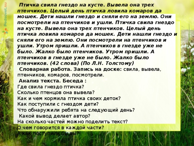 Анализ стихотворения у птицы есть гнездо по плану