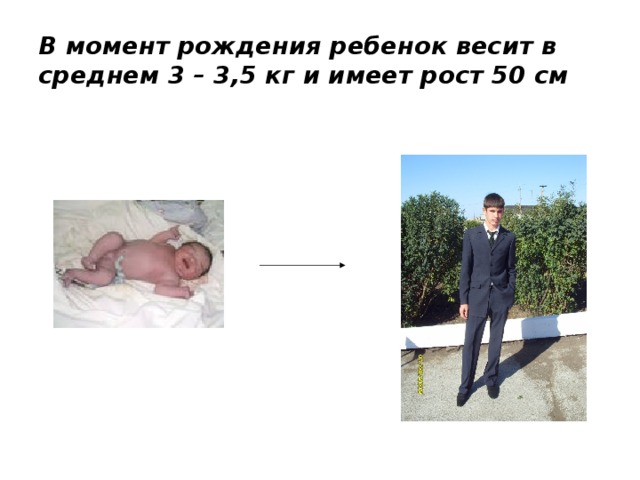 В момент рождения ребенок весит в среднем 3 – 3,5 кг и имеет рост 50 см 