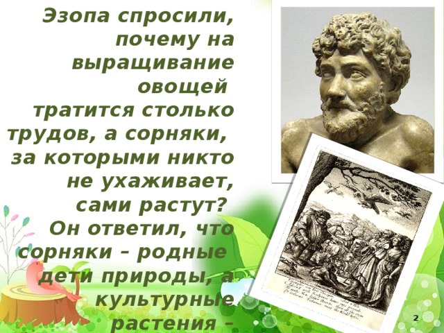 Эзопа спросили, почему на выращивание овощей тратится столько трудов, а сорняки, за которыми никто не ухаживает, сами растут? Он ответил, что сорняки – родные дети природы, а культурные растения – приёмные.