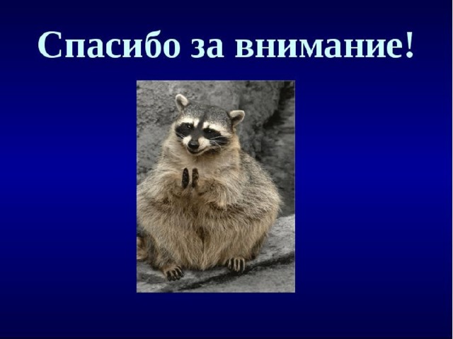 Презентация "Поведение и искусственное выкармливание молодняка" (9 класс) по био