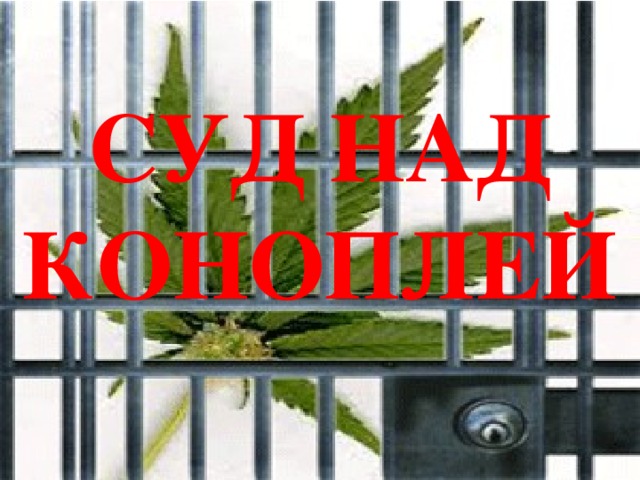 СУД НАД КОНОПЛЕЙ