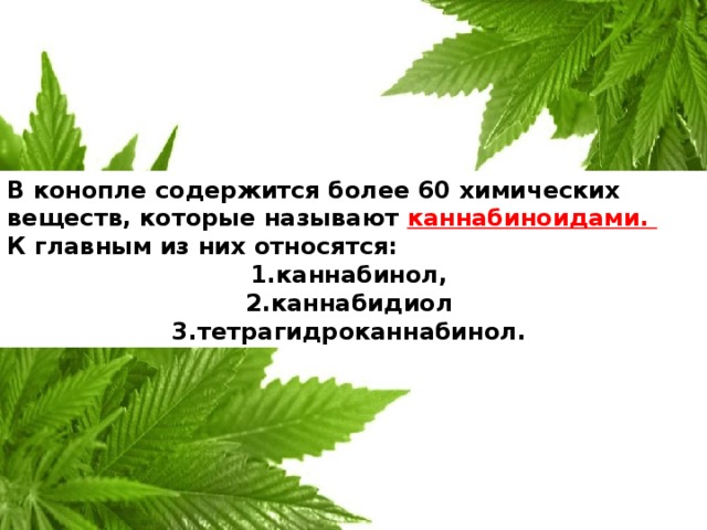 какие вещества содержатся в марихуане