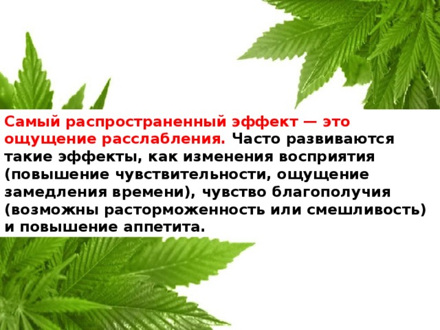 Самый распространенный эффект — это ощущение расслабления. Часто развиваются такие эффекты, как изменения восприятия (повышение чувствительности, ощущение замедления времени), чувство благополучия (возможны расторможенность или смешливость) и повышение аппетита.