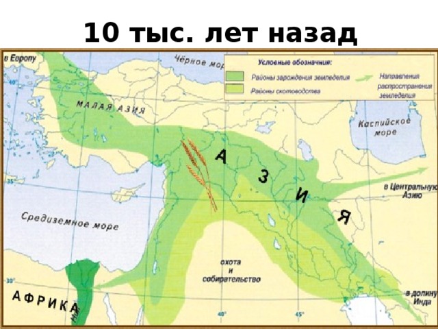 10 тыс. лет назад 