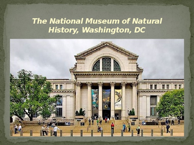 The National Museum of Natural History, Washington, DC 