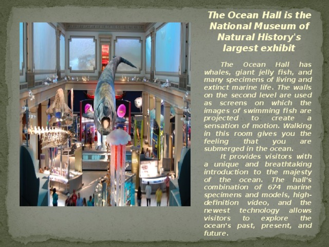 The Ocean Hall is the National Museum of Natural History's largest exhibit The Ocean Hall has whales, giant jelly fish, and many specimens of living and extinct marine life. The walls on the second level are used as screens on which the images of swimming fish are projected to create a sensation of motion. Walking in this room gives you the feeling that you are submerged in the ocean. It provides visitors with a unique and breathtaking introduction to the majesty of the ocean. The hall's combination of 674 marine specimens and models, high-definition video, and the newest technology allows visitors to explore the ocean's past, present, and future. 