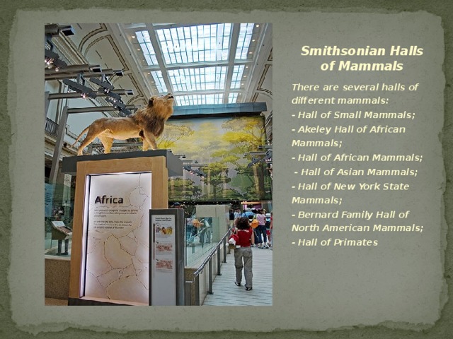 Smithsonian Halls of Mammals There are several halls of different mammals: - Hall of Small Mammals; - Akeley Hall of African Mammals; - Hall of African Mammals;  - Hall of Asian Mammals; - Hall of New York State Mammals; - Bernard Family Hall of North American Mammals; - Hall of Primates  