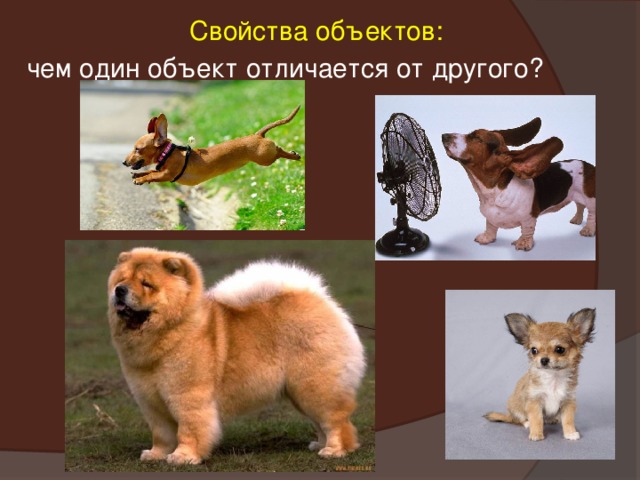 Объекты окружающего