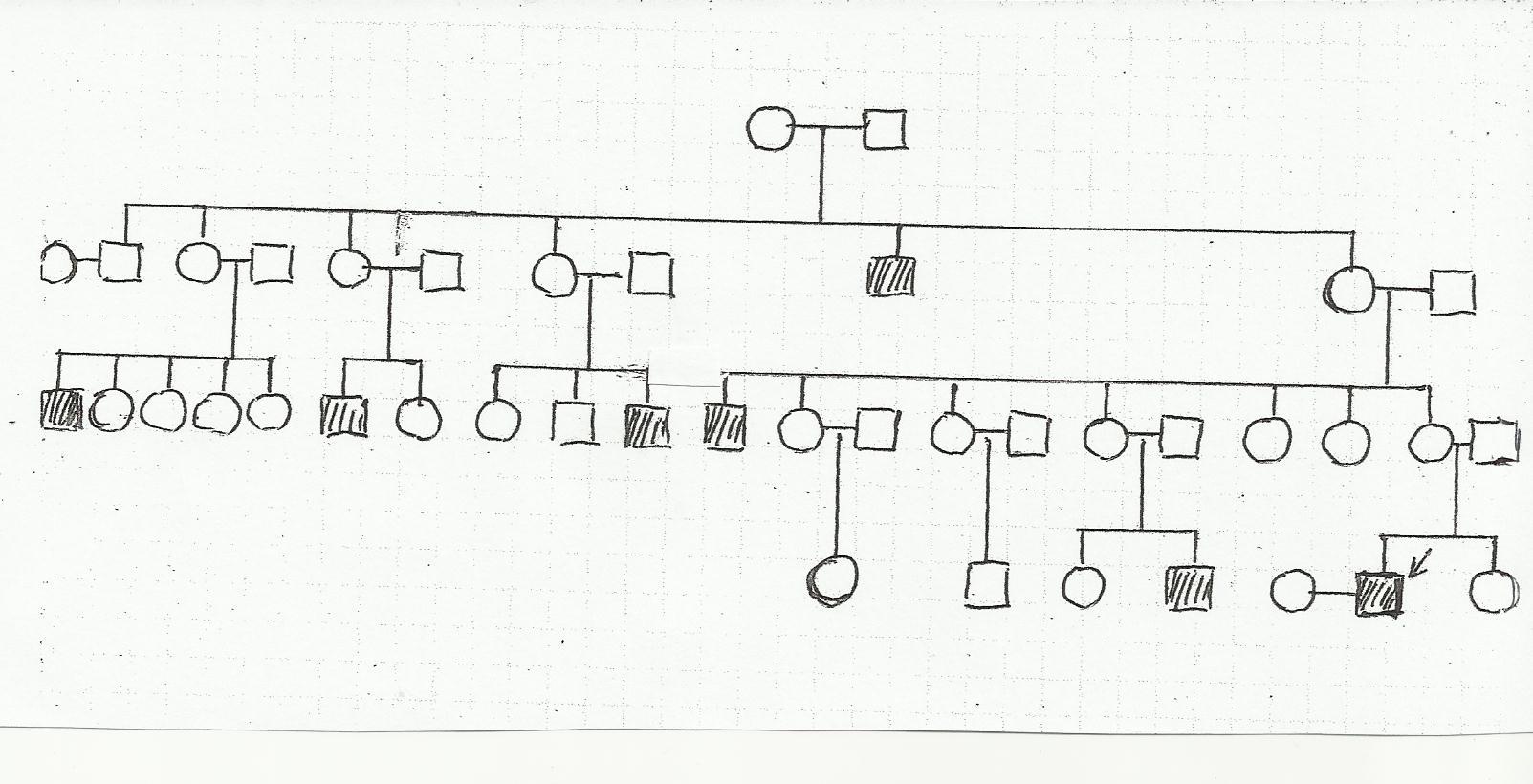 Пробанд страдает ночной слепотой. Моя родословная. АА родословная. Схема генетического дерева. Генеалогический метод.