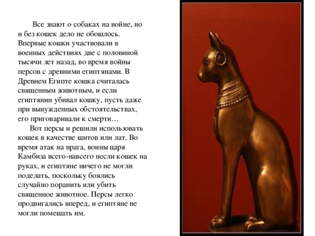         Все знают о собаках на войне, но и без кошек дело не обошлось. Впервые кошки участвовали в военных действиях две с половиной тысячи лет назад, во время войны персов с древними египтянами. В Древнем Египте кошка считалась священным животным, и если египтянин убивал кошку, пусть даже при вынужденных обстоятельствах, его приговаривали к смерти…         Вот персы и решили использовать кошек в качестве щитов или лат. Во время атак на врага, воины царя Камбиза всего-навсего несли кошек на руках, и египтяне ничего не могли поделать, поскольку боялись случайно поранить или убить священное животное. Персы легко продвигались вперед, и египтяне не могли помешать им.    