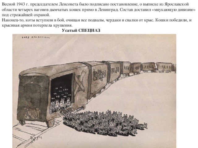 Весной 1943 г. председателем Ленсовета было подписано постановление, о выписке из Ярославской области четырех вагонов дымчатых кошек прямо в Ленинград. Состав доставил «мяукающую дивизию» под строжайшей охраной.  Наконец-то, коты вступили в бой, очищая все подвалы, чердаки и свалки от крыс. Кошки победили, и крысиная армия потерпела крушения.  Усатый СПЕЦНАЗ 