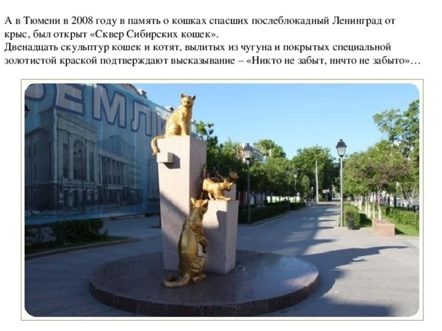 А в Тюмени в 2008 году в память о кошках спасших послеблокадный Ленинград от крыс, был открыт «Сквер Сибирских кошек».  Двенадцать скульптур кошек и котят, вылитых из чугуна и покрытых специальной золотистой краской подтверждают высказывание – «Никто не забыт, ничто не забыто»… 