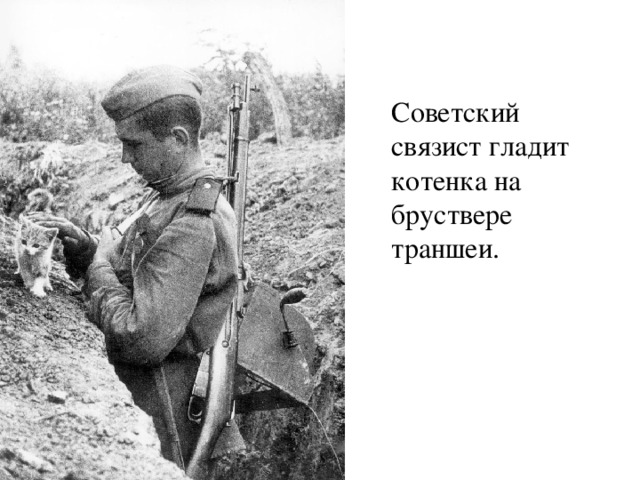 Советский связист гладит котенка на бруствере траншеи.   