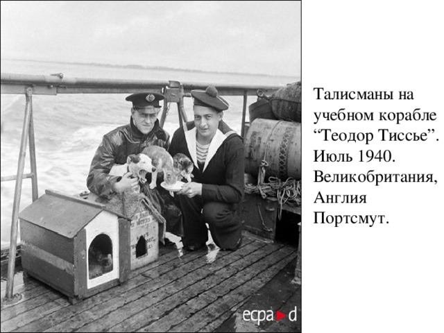 Талисманы на учебном корабле “Теодор Тиссье”. Июль 1940. Великобритания, Англия Портсмут.   . 