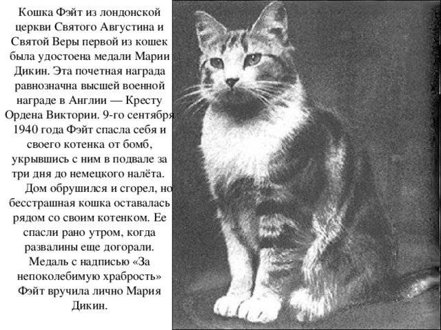 Кошка Фэйт из лондонской церкви Святого Августина и Святой Веры первой из кошек была удостоена медали Марии Дикин. Эта почетная награда равнозначна высшей военной награде в Англии — Кресту Ордена Виктории. 9-го сентября 1940 года Фэйт спасла себя и своего котенка от бомб, укрывшись с ним в подвале за три дня до немецкого налёта.         Дом обрушился и сгорел, но бесстрашная кошка оставалась рядом со своим котенком. Ее спасли рано утром, когда развалины еще догорали. Медаль с надписью «За непоколебимую храбрость» Фэйт вручила лично Мария Дикин. 