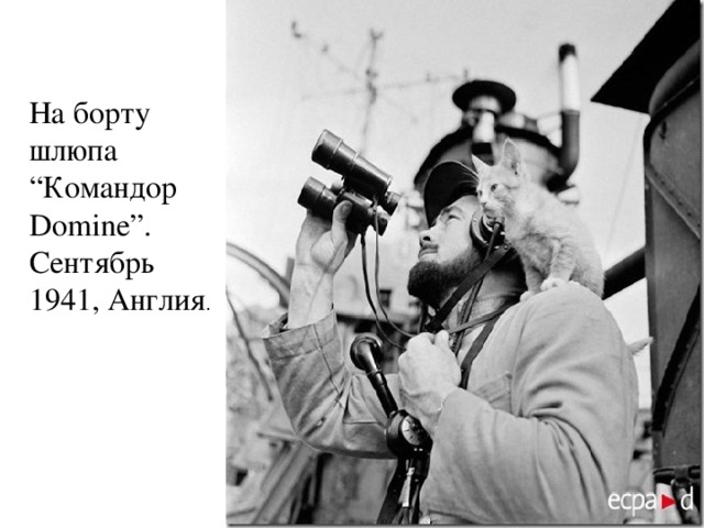 На борту шлюпа “Командор Domine”. Сентябрь 1941, Англия . 