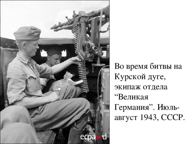Во время битвы на Курской дуге, экипаж отдела “Великая Германия”. Июль-август 1943, СССР.   