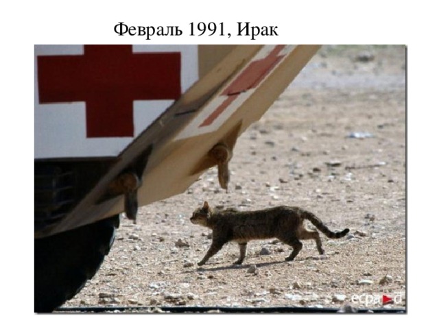 Февраль 1991, Ирак   