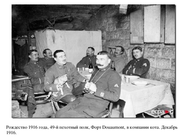Рождество 1916 года, 49-й пехотный полк, Форт Douaumont, в компании кота. Декабрь 1916.   