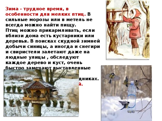 Зима - трудное время, в особенности для мелких птиц.  В сильные морозы или в метель не всегда можно найти пищу. Птиц можно прикармливать, если вблизи дома есть кустарники или деревья. В поисках скудной зимней добычи синицы, а иногда и снегири и свиристели залетают даже на людные улицы , обследуют каждое дерево и куст, очень быстро замечают выставленные для них кормушки на подоконниках или в палисадниках. Подкармливайте птиц зимой. 