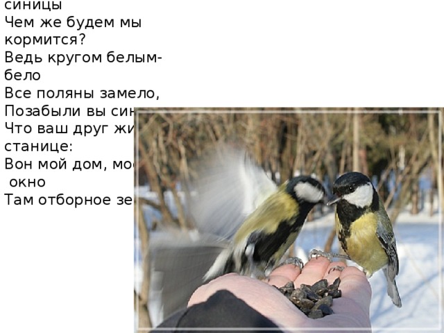 Жили-были две синицы   Чем же будем мы кормится?  Ведь кругом белым-бело  Все поляны замело,  Позабыли вы синицы,  Что ваш друг живёт в станице:  Вон мой дом, моё  окно  Там отборное зерно. 