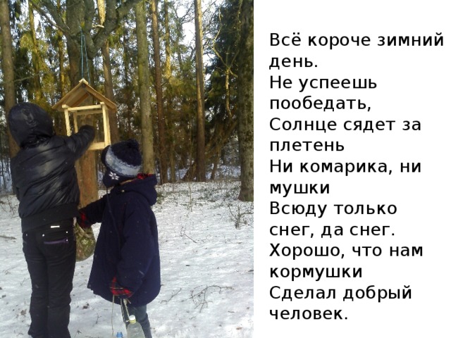 Всё короче зимний день.   Не успеешь пообедать,   Солнце сядет за плетень   Ни комарика, ни мушки  Всюду только снег, да снег.   Хорошо, что нам кормушки   Сделал добрый человек. 