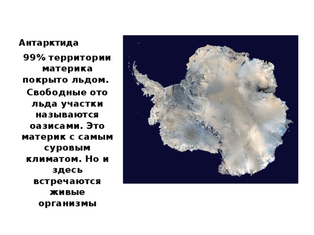 Антарктида 99% территории материка покрыто льдом. Свободные ото льда участки называются оазисами. Это материк с самым суровым климатом. Но и здесь встречаются живые организмы 