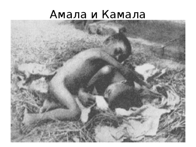 Амала и Камала 